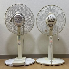 [5月25日に取りに来てくれる方限定!!]扇風機 2台セットの画像