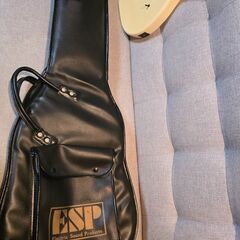 ESP カスタムオーダー ギターの画像