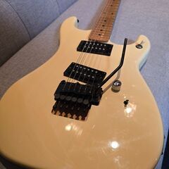 ESP カスタムオーダー ギター