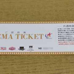スターシアターズ映画鑑賞券１枚（期限 25.6/30）※若干お急ぎ