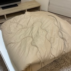 こたつ　毛布