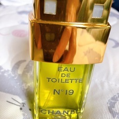 CHANEL シャネル N°19 オードトワレ 100mlの画像
