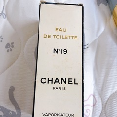 CHANEL シャネル N°19 オードトワレ 100mlの画像