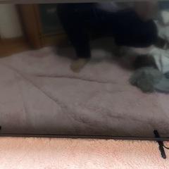 パナソニック4Kテレビ