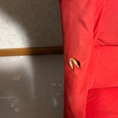 ナニヤワ フルバケ シート 赤 セミバケ の画像