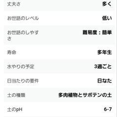 銀手毬 2の画像