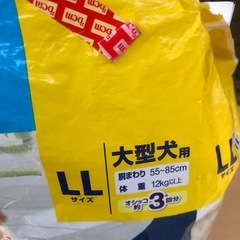 新品犬🐶大型犬用 マナーウェアLLサイズ5枚入の画像