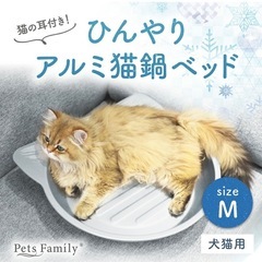 譲り先決まりました★ありがとうございました