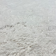 大きなカーペットの画像