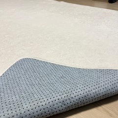 大きなカーペットの画像