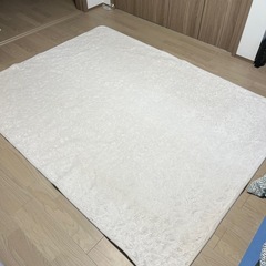 大きなカーペット