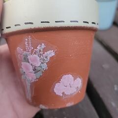 多肉寄せ植え の画像