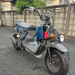 ホンダ ズーマー ZOOMER