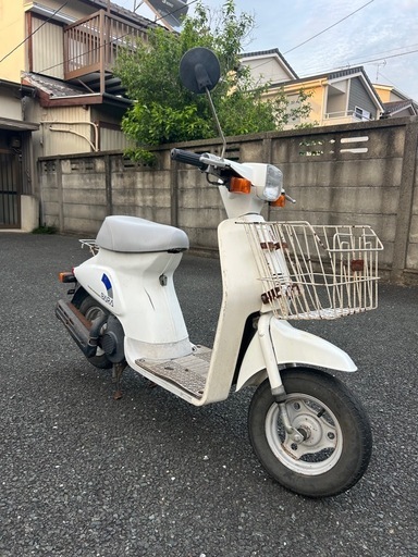 スズキ 薔薇 バラ