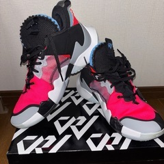 JORDAN WHY NOT ZERO.2 SE PF 28.0cm 箱付きの画像