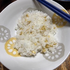 R7年産大麦の画像