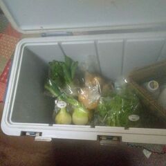 新鮮野菜コーナー23日の品出し予定です。