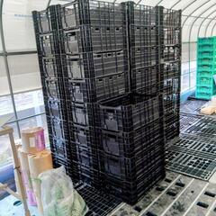 コンテナ　サンテナー　カゴ　90ケ有り(50ケ商談中)　バラ売り可