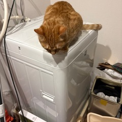 洗濯機の画像