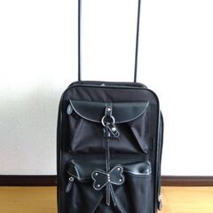 【さらに値下げ】軽くて丈夫な小型キャリーバッグ