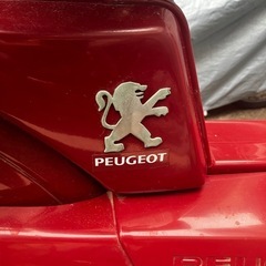 Peugeot Vogue SP【廃車してあり、乗れません】の画像