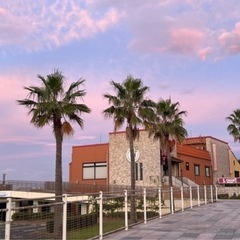 【湘南エリア】何でも話せる友達が欲しいです☺✨