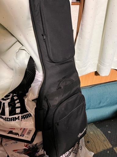 Bacchusテレキャスターギター