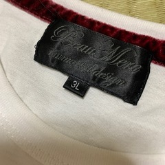 Tシャツの画像