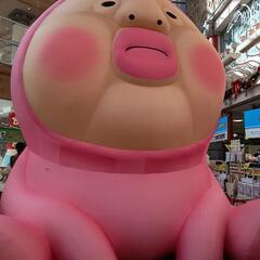 こびとづかんいろいろ