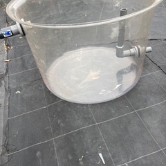 １００Ｌ水槽
