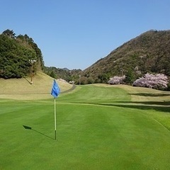 ゴル友募集🔥 - スポーツ