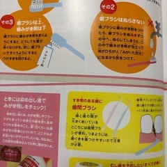 キッズの歯並び すくすくスクールの画像