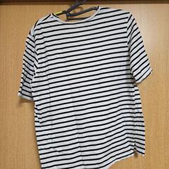 レディース 半袖Tシャツの画像