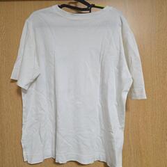 レディース 半袖Tシャツの画像