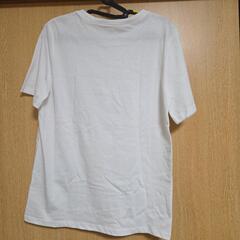 レディース 半袖Tシャツの画像