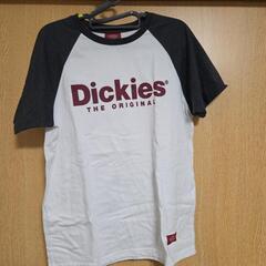 レディース  半袖Tシャツ