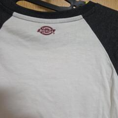 レディース  半袖Tシャツの画像