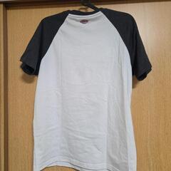 レディース  半袖Tシャツの画像