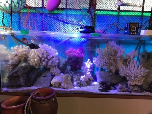 １２０cm水槽