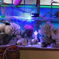 １２０cm水槽