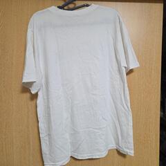  半袖Tシャツの画像