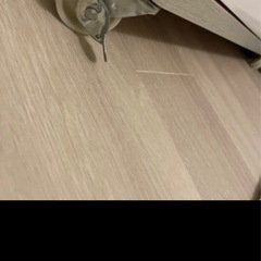 ❤️テレビとテレビ台セット　良品！お買い得すぎる！の画像