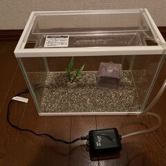 水槽セット【ポンプ・砂つき】
