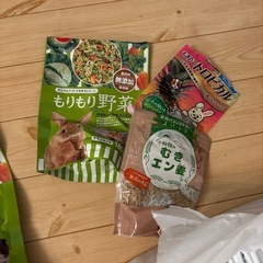 ウサギ飼育セットの画像