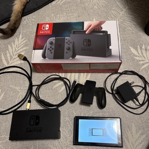 【Nintendo  Switch】最終値下げ　本体一式　カバー付き　早い者勝ち