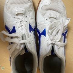 体育館シューズ26cm ほぼ綺麗 早い者勝ち