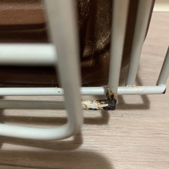 ペット用ゲージ　の画像