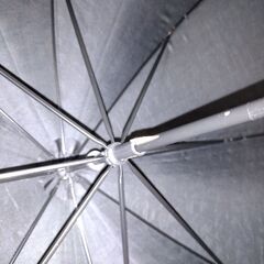日傘の画像
