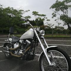 ハーレーダビッドソン ソフテイル 2007 TC96 オープンプ...