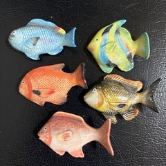 カラフルなお魚　熱帯魚　箸置き